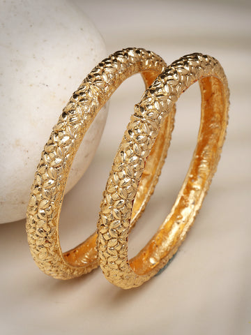 NVR Women Set of 2 Gold-Plated Handcrafted Traditional Bangles