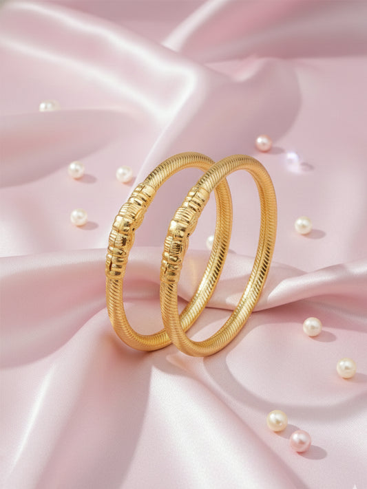 NVR Women Set of 2 Gold Plated Traditional Kada Bangles